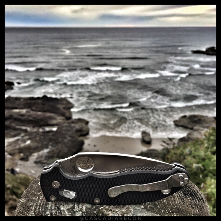 PerpetuaManixBorder800