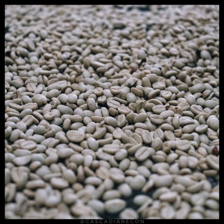 OoFarmsCoffeeBeansBorder800