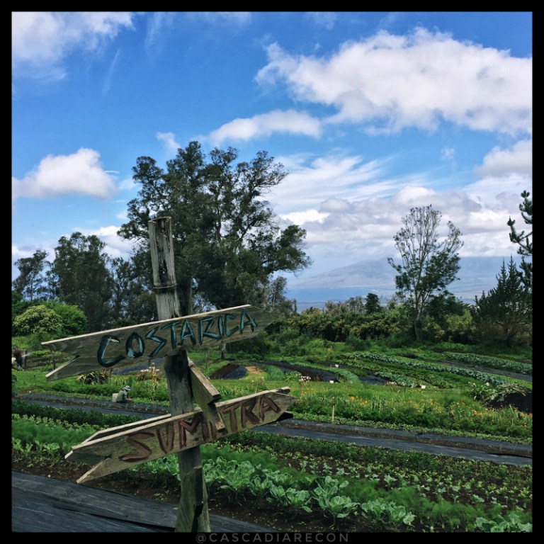 OoFarmsSignBorder800